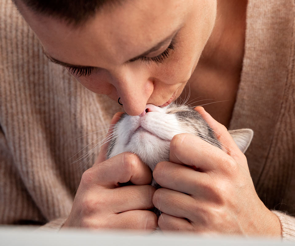 closeup of a woman kissing her cat on the nose