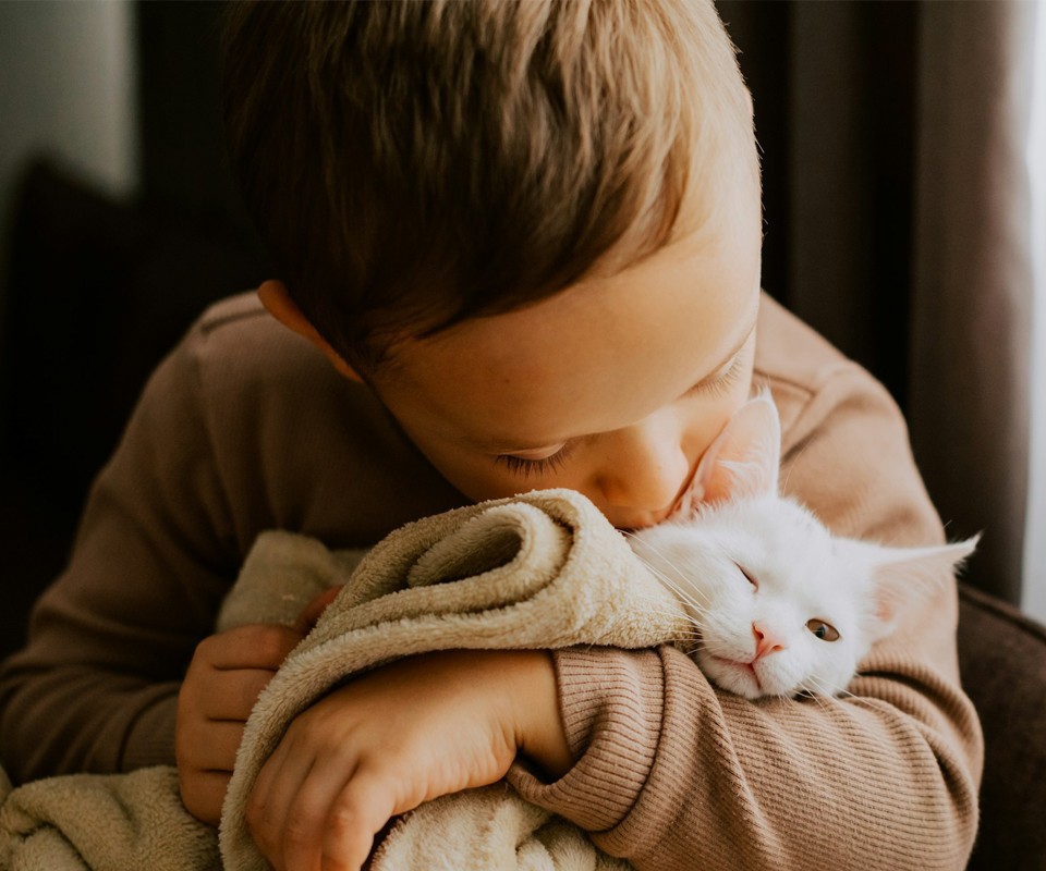 child hugging white cat affectionately