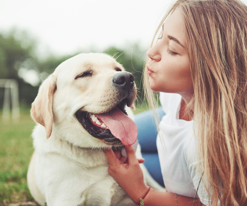 girl kissing happy dog