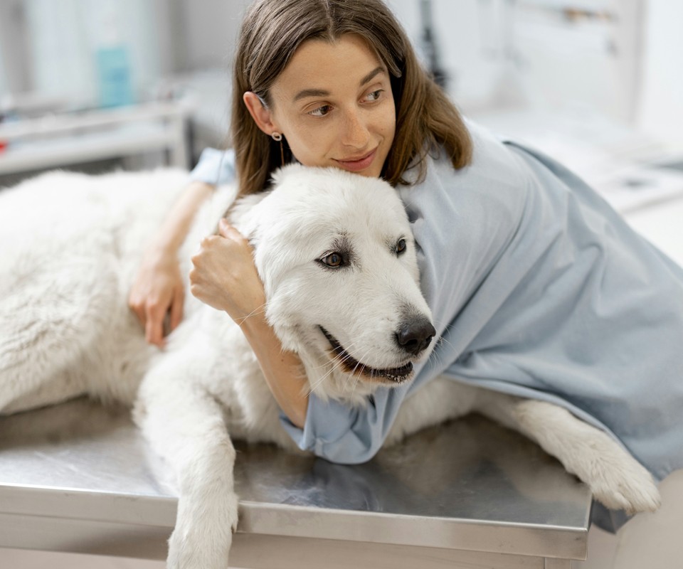 woman hugs dog at vet