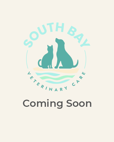Coming soon placeholder